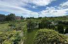 Vila superba Hemeius-Bacau