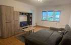 Inchiriez apartament cu 2 camere, etaj 3, Micalaca - 2