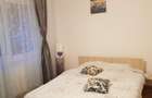 Apartament 2 camere liber la vanzare zona Garii - 3