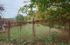 Teren intravilan 2500mp Criscior