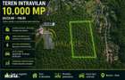 Oportunitate Investite: 10.000 mp in Inima Naturii,Bucium Paun