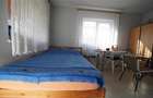 MICRO-FERMA + CASA IN VOIVOZI - BIHOR - 17