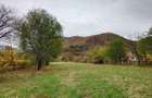 Teren intravilan 2500mp Criscior