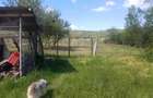 2 terenuri de Vanzare - 3