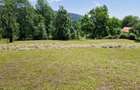 Teren de vanzare 2.000 mp, Comarnic, Prahova - 2