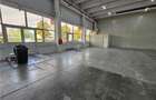 Spatiu Comercial - 900 mp - Showroom - Depozitare - 7