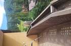 Apartament 2 camere Trei Brazi - 10