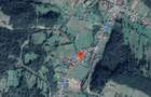 Oportunitate de Investi?ie: Teren Extins in Comuna Tulghe?, Harghita - 1