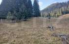 Teren intravilan in Dorna Arini, 1.25 ha, bonus 20 ari teren extravila - 2