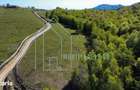 Teren in suprafata de 1.78 Ha in Purcareti, Jud. Alba cu apa si curent - 1