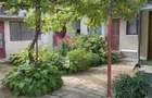 Vand casa ineu jud arad - 7