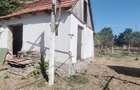 RECO Casa in Posoloaca 25 km de Oradea - 13
