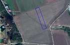 De vanzare teren extravilan, 1,56 ha, Baile Sarate Turda - 2