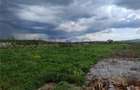 RECO Teren intravilan, Paleu - 1