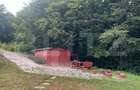 Cabana din bu?teni - refugiu ideal in mijlocul naturii - 2