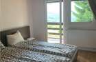 Cabana la munte, Colibita, jacuzzi, foisor - 10