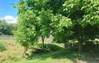 Casa la 5 km de Targu-Neamt - cu iaz si livada matura - gata pentru mutat - 2