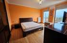 Penthouse cu vedere panoramica deosebita, Arad, zona Micalaca-Orizont - 4