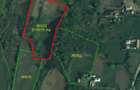 Vand teren extravilan in suprafata de 5976 mp situat in loc. Popesti, sat Curtea, jud. Valcea