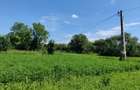 Casa la 5 km de Targu-Neamt - cu iaz si livada matura - gata pentru mutat - 15