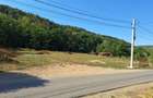 Teren intravilan, 2.174 mp., in localitatea Cladova, comuna Paulis, judetul Arad. - 4