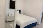 Studio de inchiriat HILS Brauner 39,3 mp, Direct propietar, Se accepta animale de companie, Loc de parcare inclus - 5