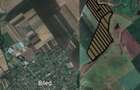 103 ha teren arabil compact, la 25 km de Timisoara - 5