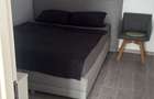 Inchiriez apartament la casa (intrare separata), 1 camera, 45 mp Zona Lipovei (350 )