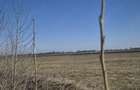 Teren agricol de vanzare 3,68 ha, deschidere 350 m la ?osea, Scutelnici, Buzau Pre?: 1 mp - 3