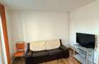Apartament 3 camere Vasile Aron - 2