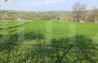 Teren intravilan, 3891 mp, la drum asfaltat, zona Bucecea - 2
