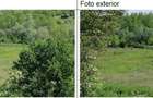 Teren intravilan cota parte 1/4 Tarpesti, ID: R2327012 - 5