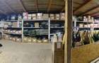 Spatiu comercial Reghin - 7