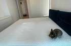 2 Camere Novum Politehnica Direct Proprietar - 2