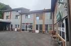 Spalatorie auto, spatii comerciale, b-dul N. Romanescu - 3