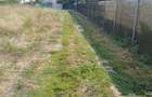 Teren intravilan-500mp-Draganescu, Giurgiu-23m deschidere-19000 euro - 6