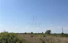 Doua Terenuri- Mosnita Veche- 561 mp - 2