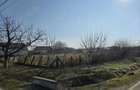 Vand teren intravilan Jebel 5 parcele, intre 500-750mp bucata - 4