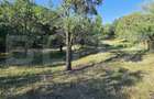 Un col? de natura in Oarda | Casa cu peste 8.000 mp teren ?i livada - 9