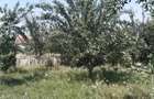 Parcela 946mp (teren total 1769mp), Str. Grigore Vieru, Alba Iulia - 2
