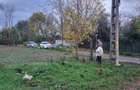 Oportunitate imobiliara MERENI - 4