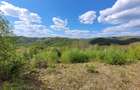 Teren de 70000 mp, în Șerani - 3