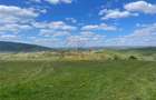 TEREN | BALNACA | 6301MP | BIHOR - 6