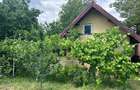 casa sat Postavari com frumusani - 4