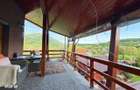 Casa pe doua nivele | Sanisor | 235.000 - 10