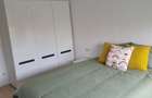 Apartament 110 mp central str. Vasile Lucaciu renovat,mobilat,garaj. - 2