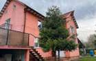 Casa de vanzare, zona Certej - 5