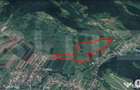 Teren extravilan de 12,24 hectare in ?oimu? doar 3 le - 1