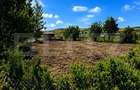 Teren de vanzare 942 m2 | Zavoaie, Bistrita | Acces direct la ra - 5