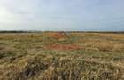 Teren intravilan in Baicoi zona targului--10.000mp--5e - 10